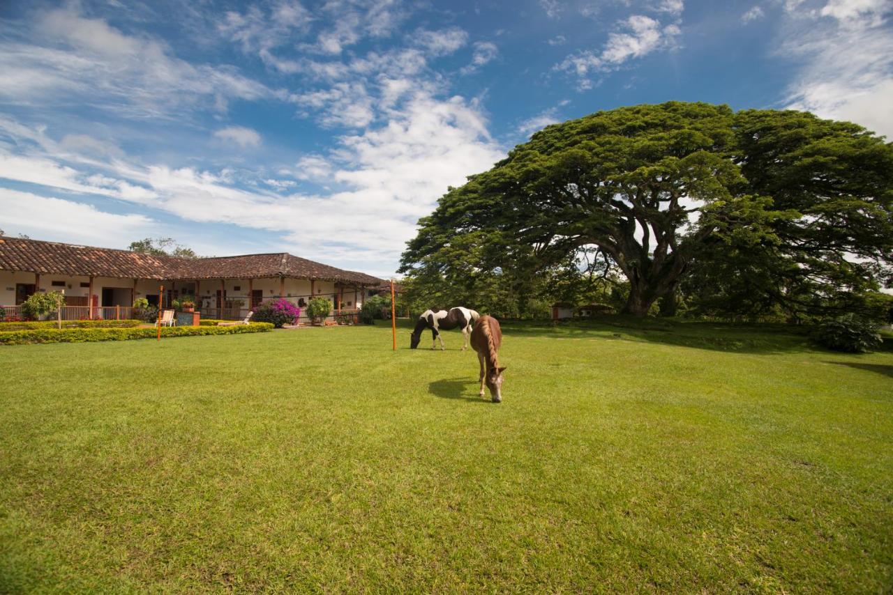 Hacienda El Saman Villa Quimbaya Buitenkant foto
