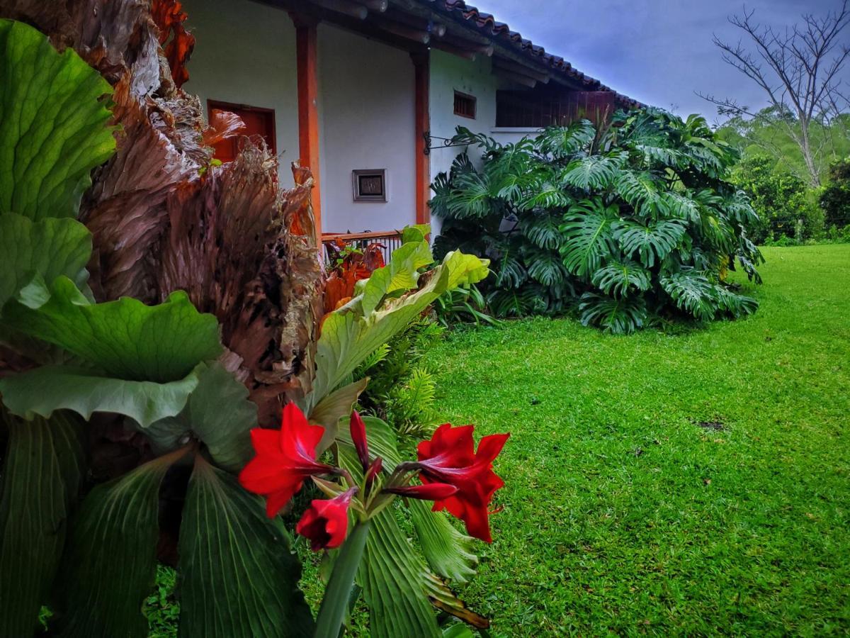 Hacienda El Saman Villa Quimbaya Buitenkant foto